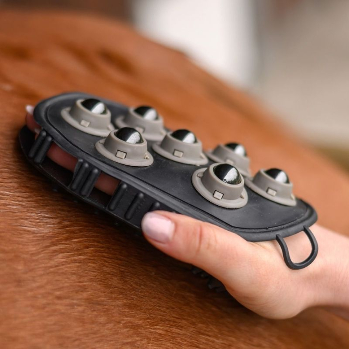 Børste Massage Svart i gruppen Stell & Pleie / Børster / Groominghanske hos Equinest (3827600BA)