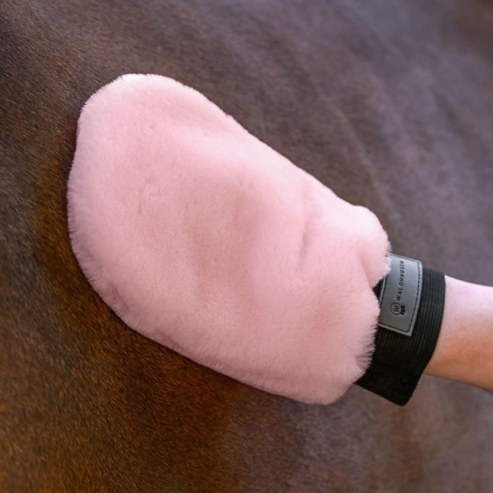 Pelsstellhanske Lucky Lambskin Rosa i gruppen Stell & Pleie / Børster / Groominghanske hos Equinest (3835732PI)