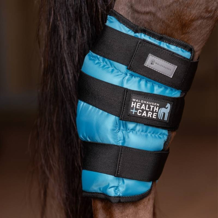 Kjølende Hasebeskytter Cooling Gel Blå Full i gruppen Hesteutstyr / Belegg & Bandasjer / Kjølebelegg hos Equinest (3863157WBL-FU)