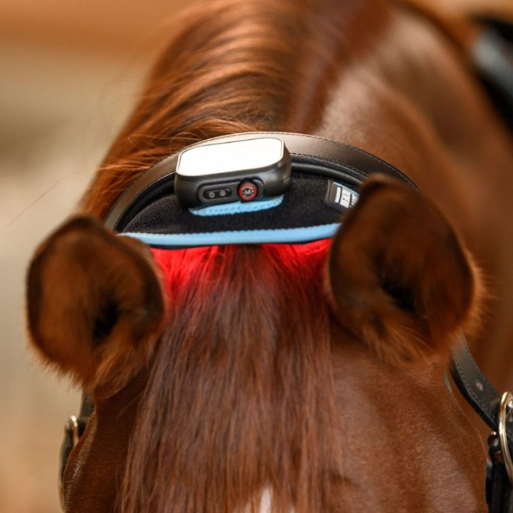 FlexPad Infrared Svart i gruppen Stell & Pleie / Massasje & Blodsirkulasjon hos Equinest (388001BA)
