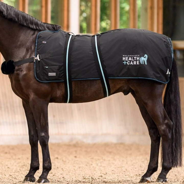 Varme- og Massasjedekken TecSupreme Svart i gruppen Stell & Pleie / Massasje & Blodsirkulasjon hos Equinest (389001MBA_r)