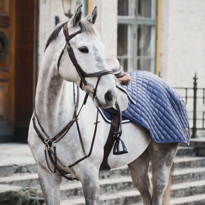Skrittedekken Quilted 420D 200g Marineblå i gruppen Hestedekken / Lendedekken hos Equinest (399624NA_r)