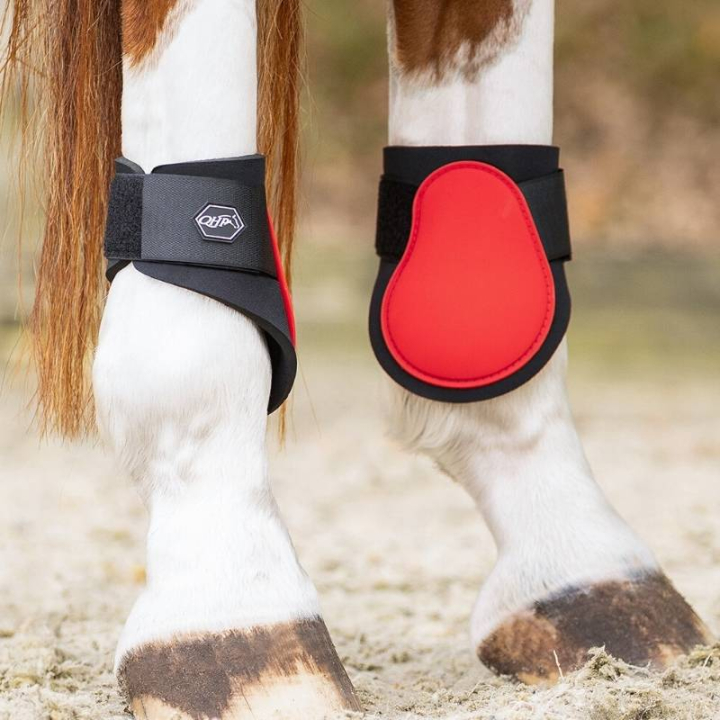 Stryksokker Neopren Rød i gruppen Hesteutstyr / Belegg & Bandasjer / Bakbeinsbelegg hos Equinest (4034RE)