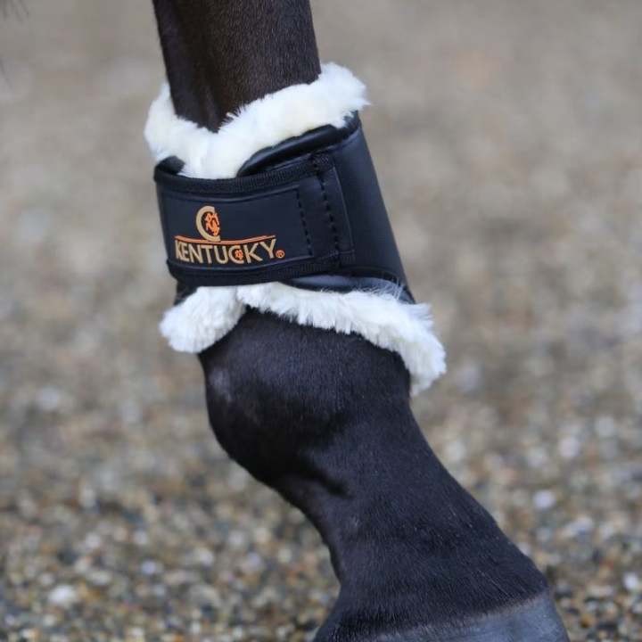 Treningsbeskyttere Leather Hind Short Svart i gruppen Hesteutstyr / Belegg & Bandasjer / Dressur- & Treningsbelegg hos Equinest (4230501FBA_r)