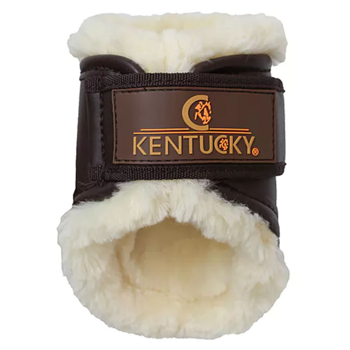 Treningsbeskyttere Leather Hind Short Brun i gruppen Hesteutstyr / Belegg & Bandasjer / Dressur- & Treningsbelegg hos Equinest (4230505FBR_r)