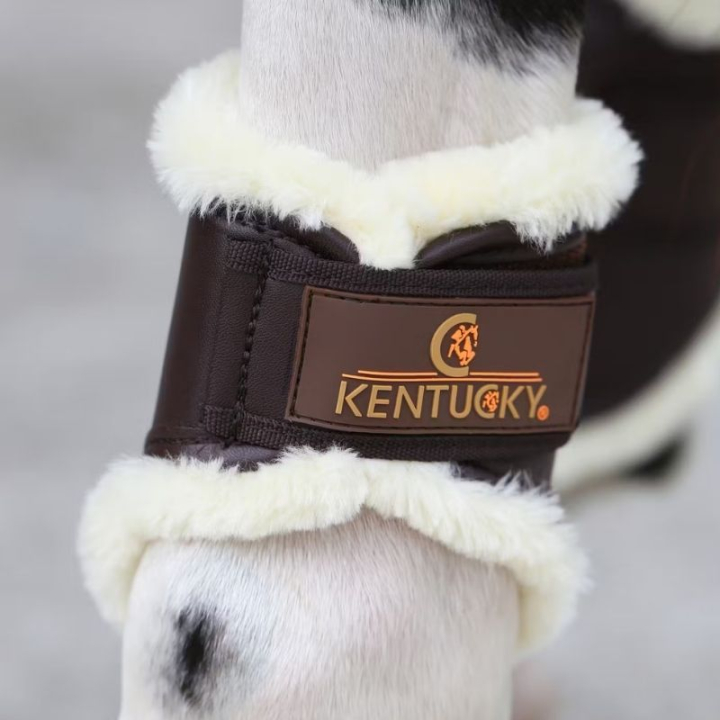 Treningsbeskyttere Leather Hind Short Brun i gruppen Hesteutstyr / Belegg & Bandasjer / Dressur- & Treningsbelegg hos Equinest (4230505FBR_r)