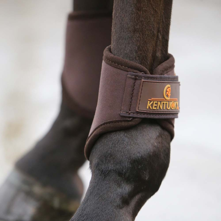 Treningsbeskyttere 3D Spacer Hind Short Brun i gruppen Hesteutstyr / Belegg & Bandasjer / Dressur- & Treningsbelegg hos Equinest (4230705FBR_r)