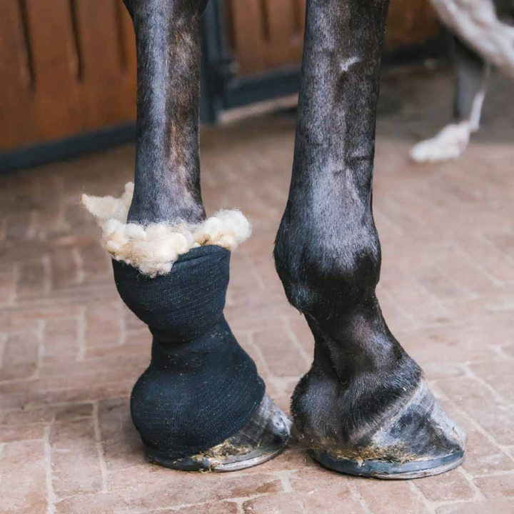 Ull Therapeutic 150g Natur i gruppen Stell & Pleie / Massasje & Blodsirkulasjon hos Equinest (42427NAT)