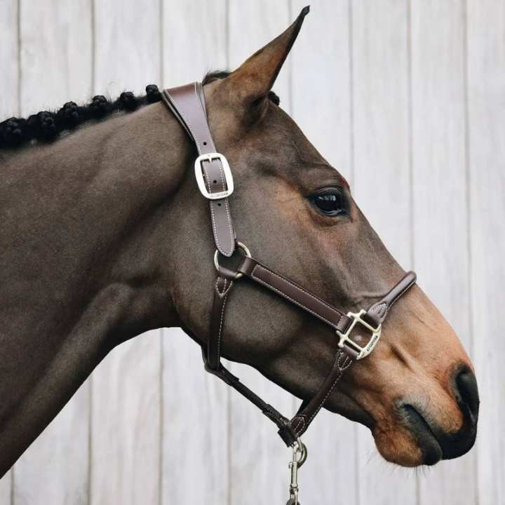 Anatomisk Kunstlærgrime Brun i gruppen Hesteutstyr / Grimer / Lærgrimer hos Equinest (42513Br_r)