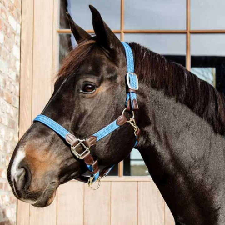 Grime Plaited Nylon Lyseblå i gruppen Hesteutstyr / Grimer / Stoff- & Nylongrimer hos Equinest (4251661COBLBL_r)