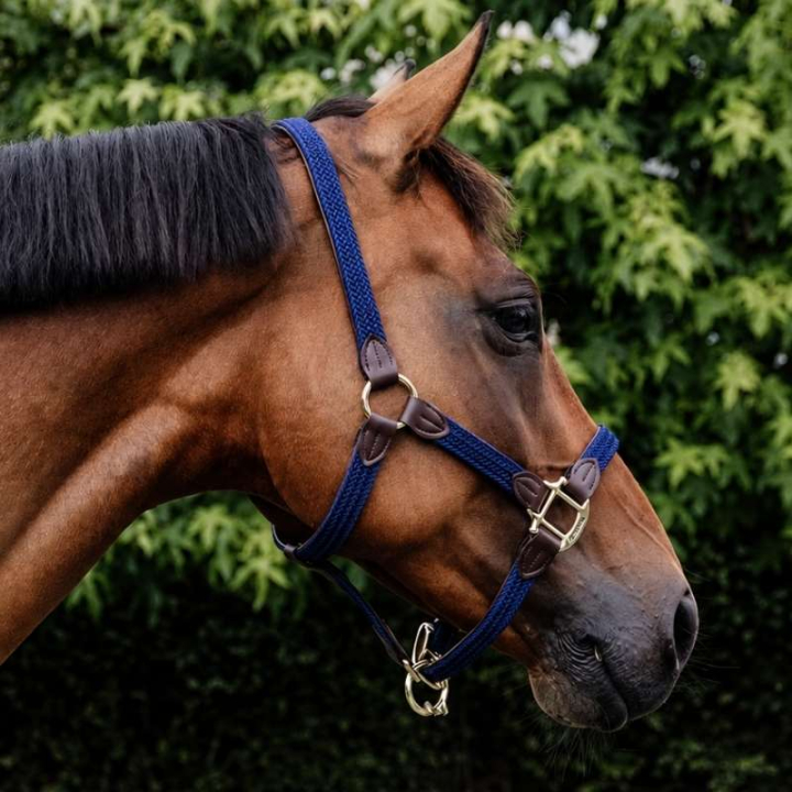 Grime Plaited Nylon Marineblå i gruppen Hesteutstyr / Grimer / Stoff- & Nylongrimer hos Equinest (42516Ma_r)
