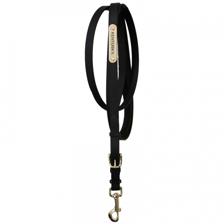 Leietau i lær Presentation Artificial Svart i gruppen Hesteutstyr / Leietau & Transportleietau / Leietau i lær hos Equinest (425270103BA)