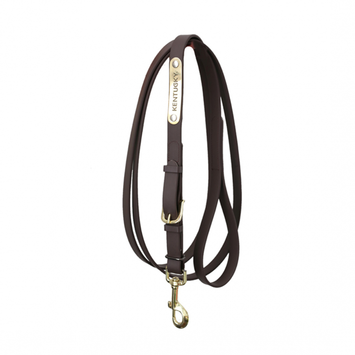 Leietau i lær Presentation Artificial Brun i gruppen Hesteutstyr / Leietau & Transportleietau / Leietau i lær hos Equinest (425270503BR)