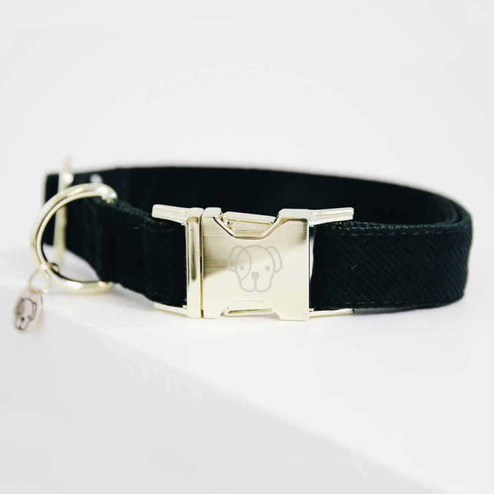 Hundehalsbånd Corduroy Grønn i gruppen Hund / Hundehalsbånd & Sele hos Equinest (42533Gr_r)