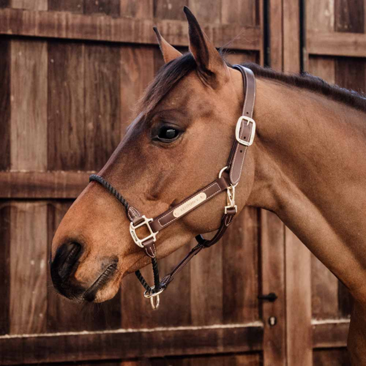 Lærgrime Rope Artificial Brun i gruppen Hesteutstyr / Grimer / Lærgrimer hos Equinest (4254005COBBR_r)