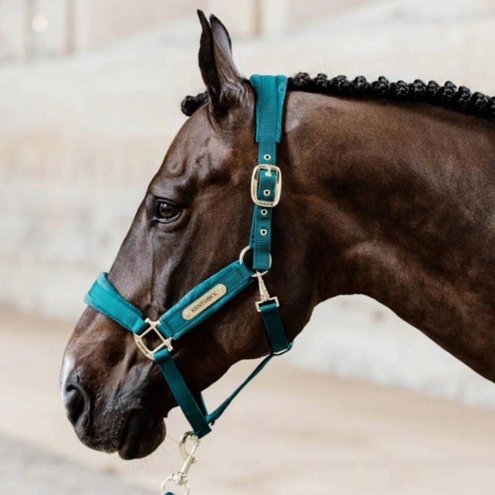Grime Velvet Smaragdgrønn i gruppen Hesteutstyr / Grimer / Stoff- & Nylongrimer hos Equinest (4255871COBSGN_r)