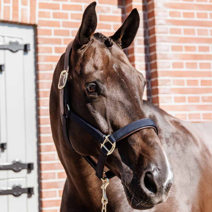 Grime Anatomic Nylon Marineblå i gruppen Hesteutstyr / Grimer / Stoff- & Nylongrimer hos Equinest (4256003COBNA_r)