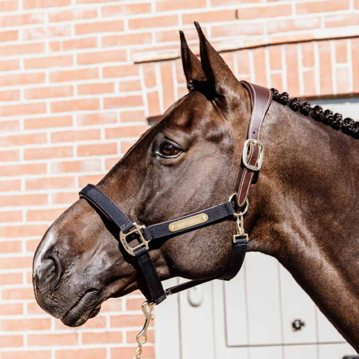 Grime Anatomic Nylon Marineblå i gruppen Hesteutstyr / Grimer / Stoff- & Nylongrimer hos Equinest (4256003COBNA_r)