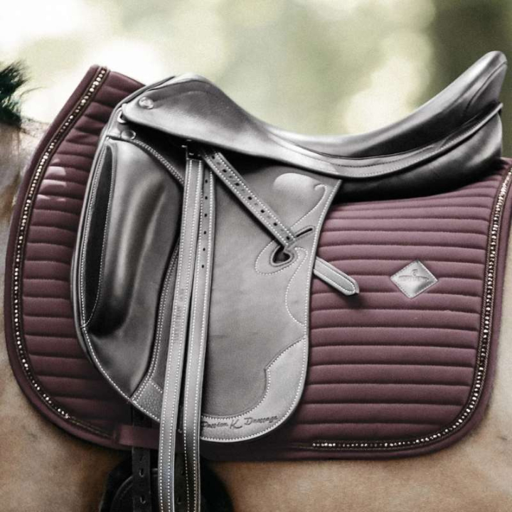 Dressursjabrak Pearls Brun i gruppen Hesteutstyr / Sjabraker / Dressursjabraker hos Equinest (4257205DRBR_r)