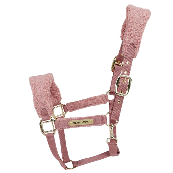 Grime Teddy Fleece Gammelrosa i gruppen Hesteutstyr / Grimer / Stoff- & Nylongrimer hos Equinest (4257310COBOPI_r)