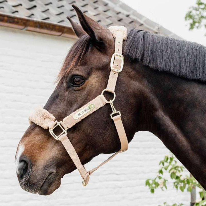 Grime Teddy Fleece Beige i gruppen Hesteutstyr / Grimer / Stoff- & Nylongrimer hos Equinest (4257332COBBE_r)