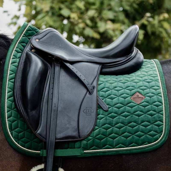 Dressursjabrak Velvet Mørkgrønn i gruppen Hesteutstyr / Sjabraker / Dressursjabraker hos Equinest (42579DRGn_r)