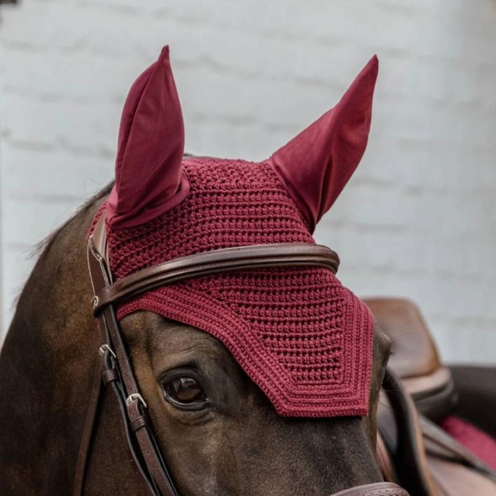 Ørehette Wellington Vinrød i gruppen Hesteutstyr / Ørehetter hos Equinest (4260817WRE)