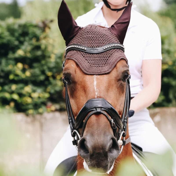 Ørehette Wellington Sparkling Brun i gruppen Hesteutstyr / Ørehetter hos Equinest (4261005FBR_r)