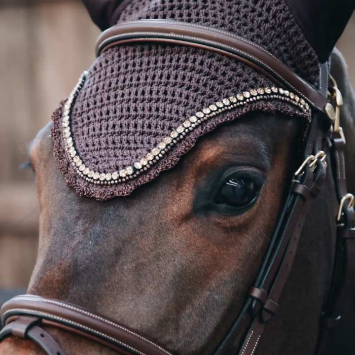Ørehette Long Stone & Pearl Soundless Brun i gruppen Hesteutstyr / Ørehetter hos Equinest (4261705FBR_r)