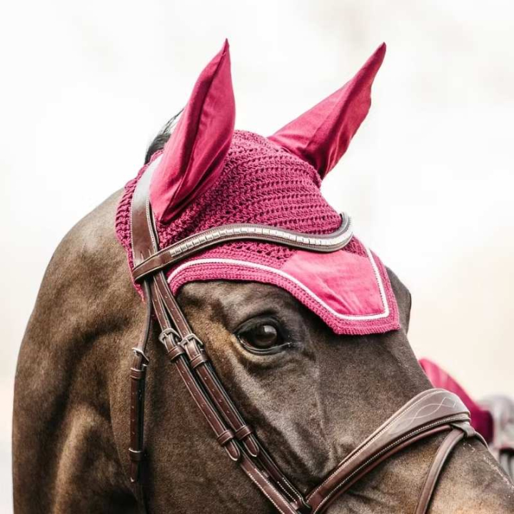 Ørehette Wellington Velvet Fuchsia i gruppen Hesteutstyr / Ørehetter hos Equinest (4262616FFU_r)