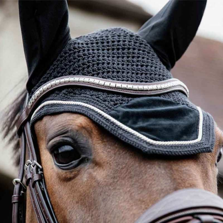 Ørehette Wellington Basic Velvet Svart i gruppen Hesteutstyr / Ørehetter hos Equinest (4262808BA)