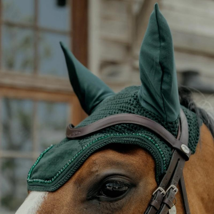 Ørehette Wellington Velvet Pearls Grønn i gruppen Hesteutstyr / Ørehetter hos Equinest (4262903PGN)