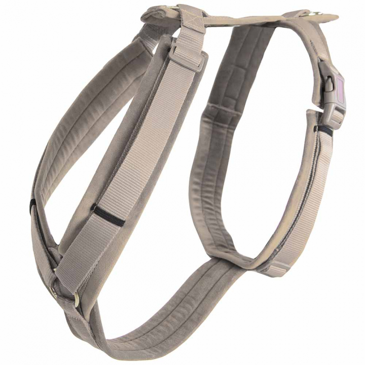 Hundesele Active Velvet Beige i gruppen Hund / Hundehalsbånd & Sele hos Equinest (42640Be_r)