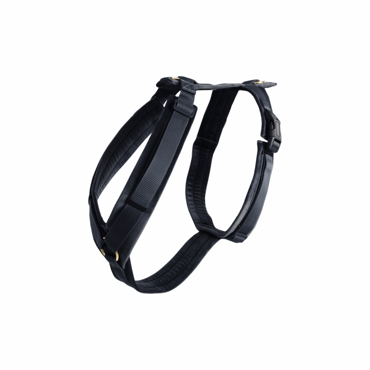 Hundesele Active Velvet Svart i gruppen Hund / Hundehalsbånd & Sele hos Equinest (42640Sv_r)