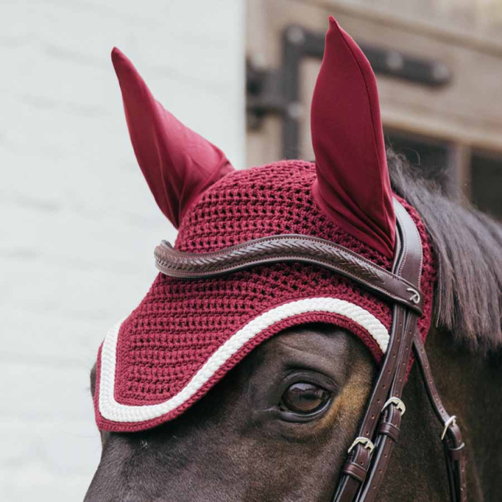 Ørehette Wellington Plaited Cord Vinrød i gruppen Hesteutstyr / Ørehetter hos Equinest (4265917FWN_r)