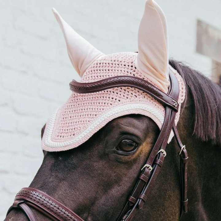 Ørehette Wellington Plaited Cord Blekrosa i gruppen Hesteutstyr / Ørehetter hos Equinest (4265950FLPI_r)