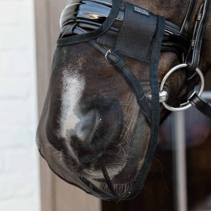 Mulenett Anti Fly Svart i gruppen Hesteutstyr / Hodelag & Pannebånd / Tilbehør til hodelag hos Equinest (4266301FBA_r)