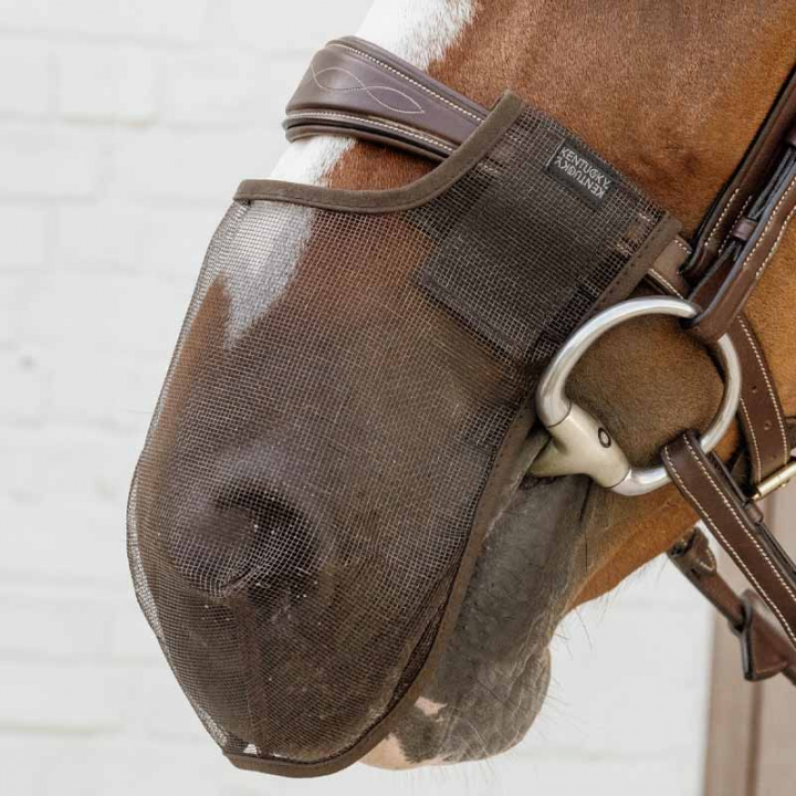Mulenett Anti Fly Brun i gruppen Hesteutstyr / Hodelag & Pannebånd / Tilbehør til hodelag hos Equinest (4266305FBR_r)