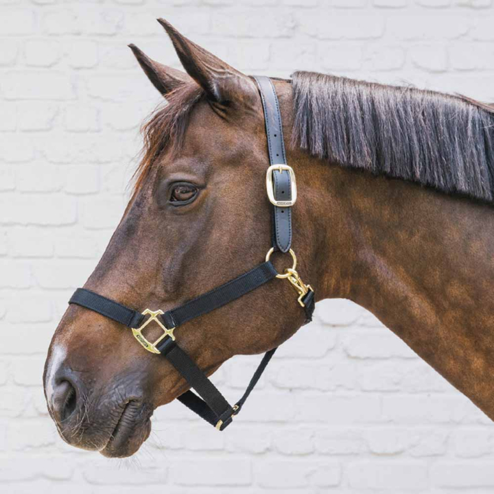 Grime Breakaway Svart i gruppen Hesteutstyr / Grimer / Stoff- & Nylongrimer hos Equinest (4266501COBBA_r)