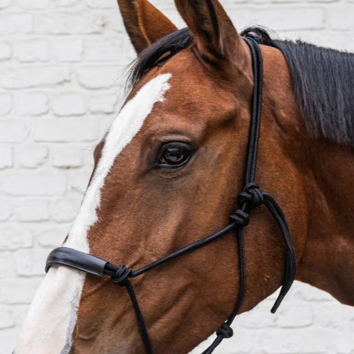 Taugrime Grooming Deluxe Svart i gruppen Hesteutstyr / Grimer / Føllgrimer hos Equinest (4268601COBBA_r)