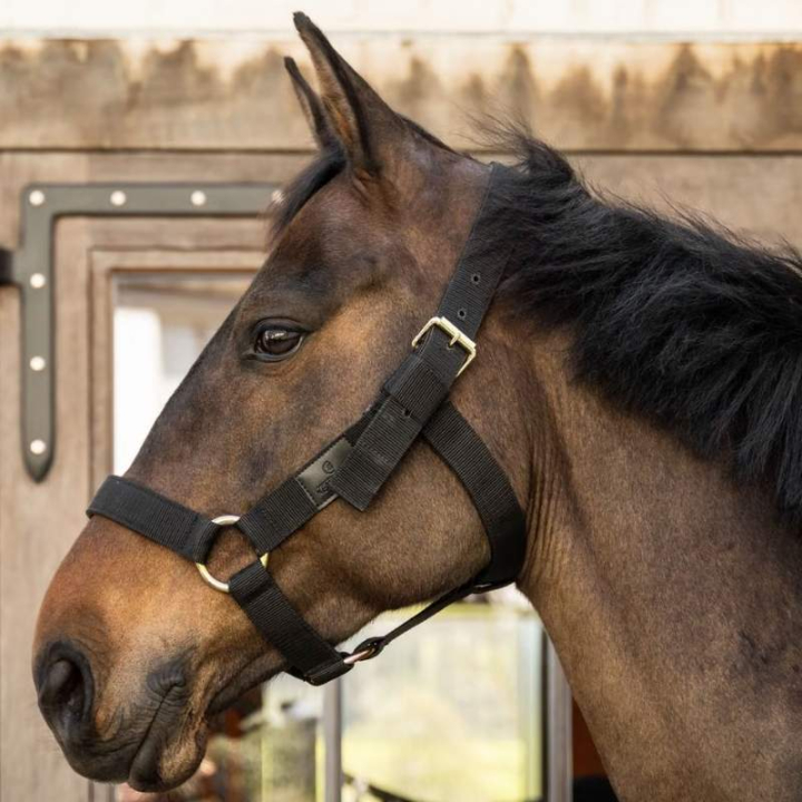 Grime Heavy Duty Svart i gruppen Hesteutstyr / Grimer / Stoff- & Nylongrimer hos Equinest (4269001COBBA_r)