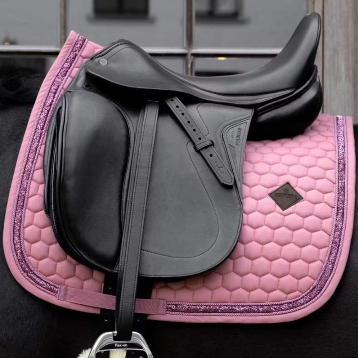Dressursjabrak Glitter Band Rosa i gruppen Hesteutstyr / Sjabraker / Dressursjabraker hos Equinest (4273016DRPI_r)