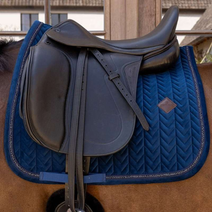 Dressursjabrak Velvet Mini Pearls Marineblå i gruppen Hesteutstyr / Sjabraker / Dressursjabraker hos Equinest (4275003DRNA_r)