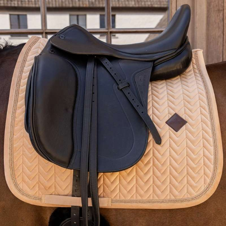 Dressursjabrak Velvet Mini Pearls Beige i gruppen Hesteutstyr / Sjabraker / Dressursjabraker hos Equinest (4275032DRBE_r)