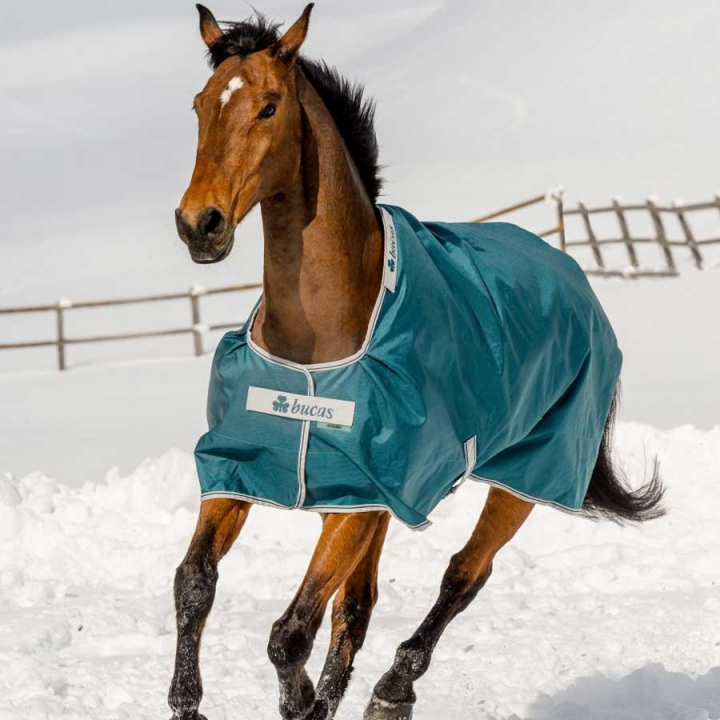 Vinterdekken Atlantic Turnout 400g Grønn i gruppen Hestedekken / Utedekken / Vinterdekken hos Equinest (44015-07-400g-Gn_r)