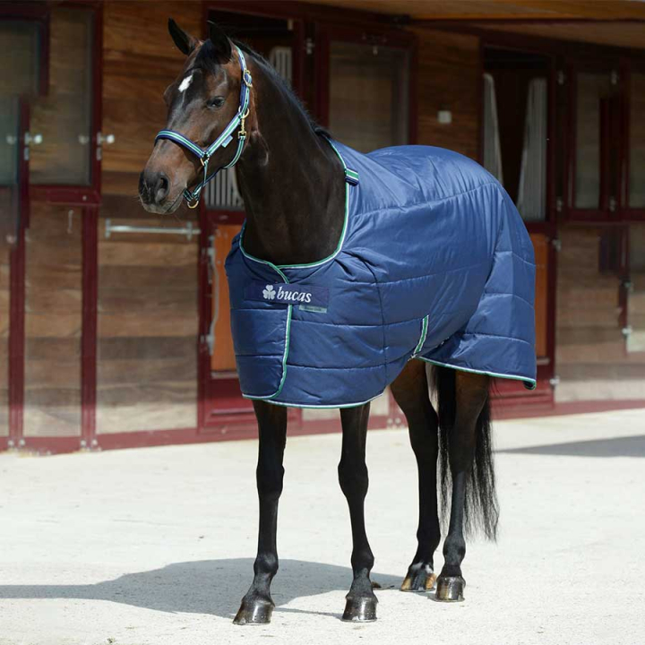 Stalldekken/Underdekken Quilt 150g Marineblå i gruppen Hestedekken / Liners & Underdekken hos Equinest (45220Ma_r)