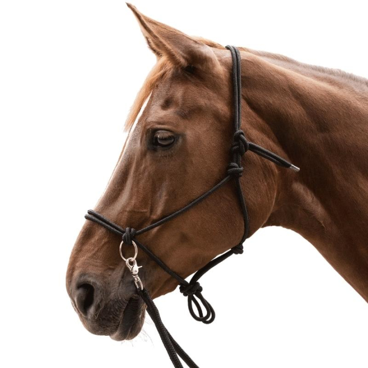 Taugrime med Tøyler Knotted Svart i gruppen Hesteutstyr / Grimer / Taugrimer hos Equinest (5041801PBA_r)