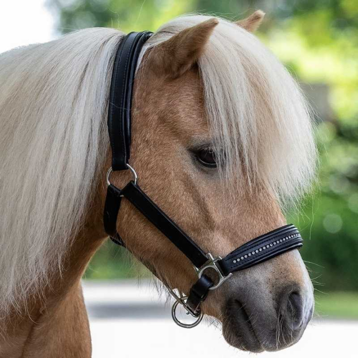 Lærgrime Diamond Svart/Sølv i gruppen Hesteutstyr / Grimer / Lærgrimer hos Equinest (50436101BASI_r)