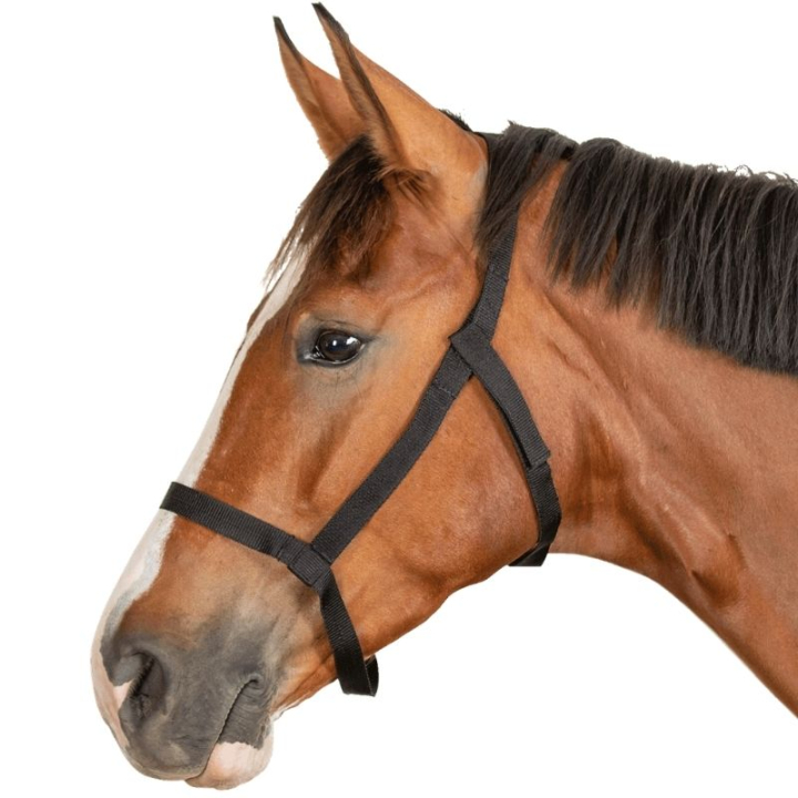 Beitegrime Grazing Svart i gruppen Hesteutstyr / Grimer / Stoff- & Nylongrimer hos Equinest (5045301PBA_r)