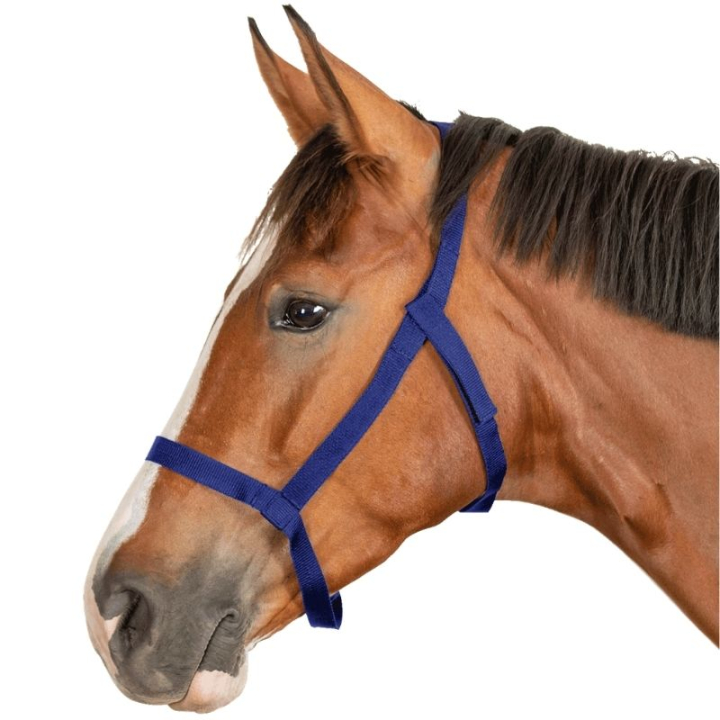 Beitegrime Grazing Marineblå i gruppen Hesteutstyr / Grimer / Stoff- & Nylongrimer hos Equinest (5045355PNA_r)